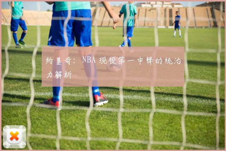 约基奇:NBA 现役第一中锋的统治力解析